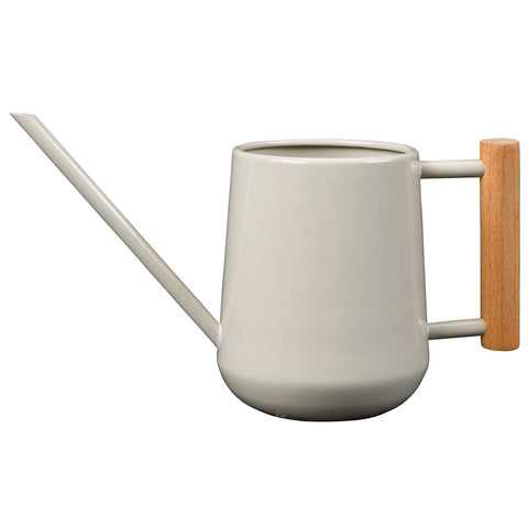 Indoor Watering Can