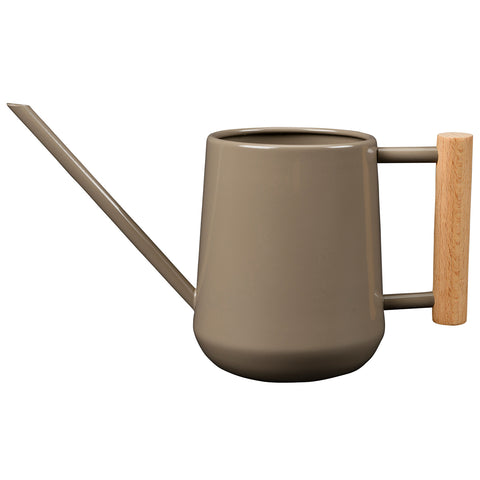 Indoor Watering Can