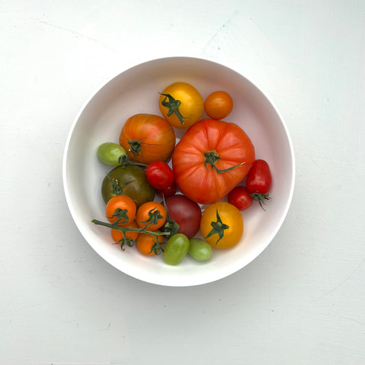 White Porcelain Serving Bowl