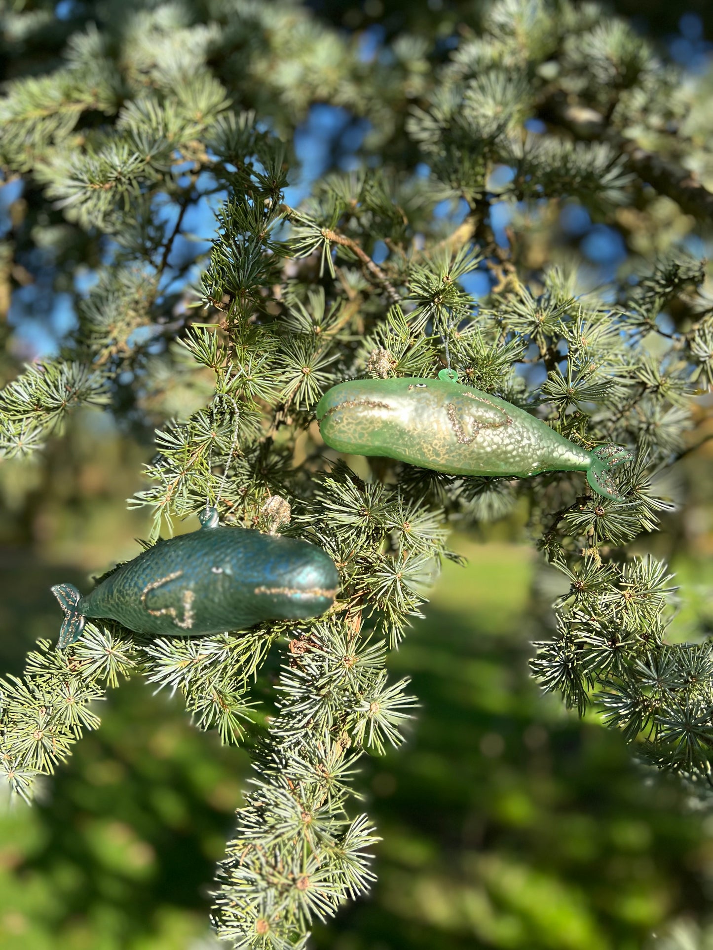 Whale Decoration