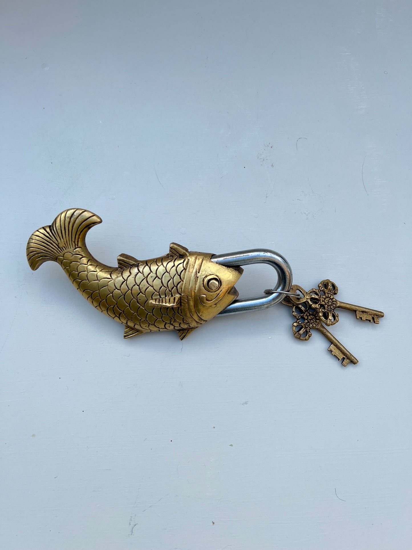 Fish padlock