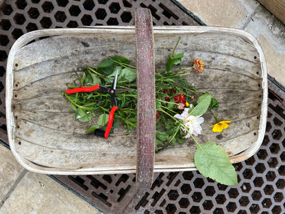 Niwaki Garden Snips