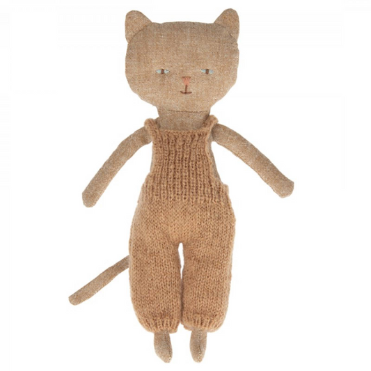 Chatons Kitten - Ginger
