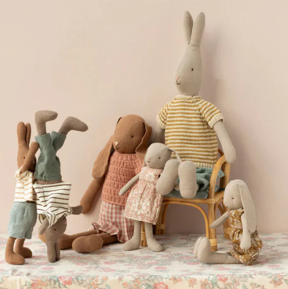 Rabbit Size 3 - Classic in Knitted Shirt and Shorts