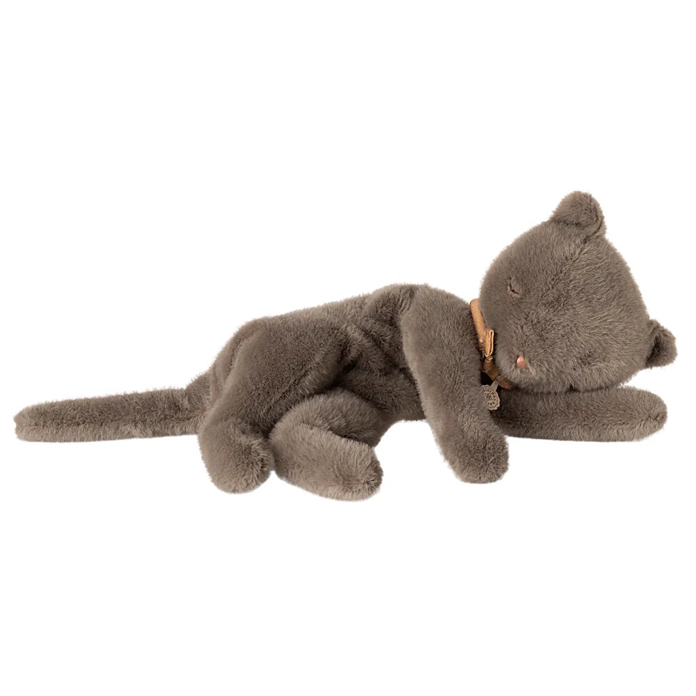 Sleepy grey Kitten - Small