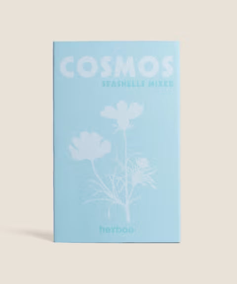Cosmos 'Seashells Mixed'