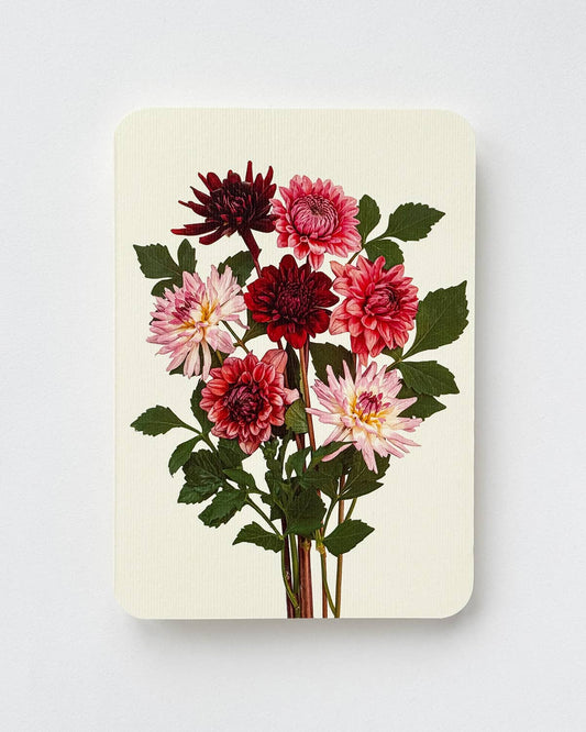 Garden Dahlias - Greeting Card