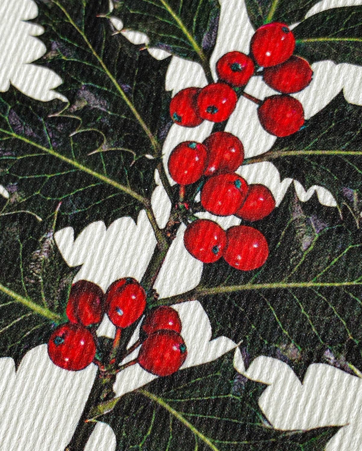 Christmas Holly Christmas Greeting Card | Christmas Card