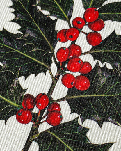 Christmas Holly Christmas Greeting Card | Christmas Card