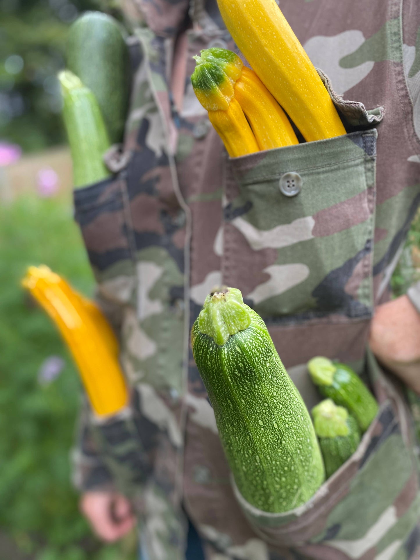 Grow Courgette - Greeting Card
