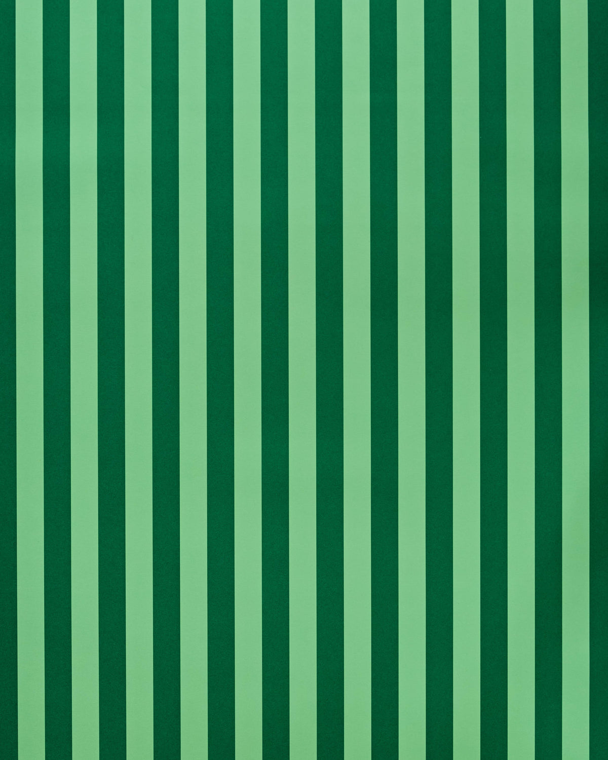 Green Stripe - Wrapping Paper