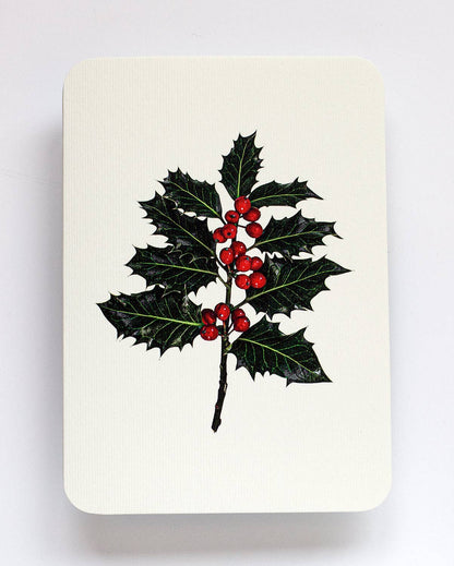Christmas Holly Christmas Greeting Card | Christmas Card