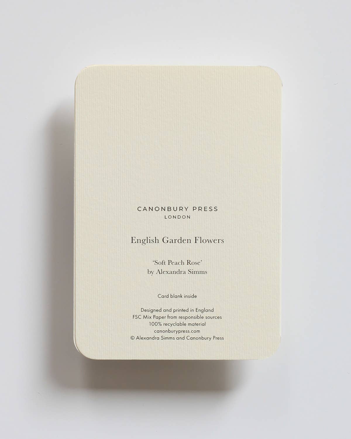 Soft Peach Rose - Greeting Card