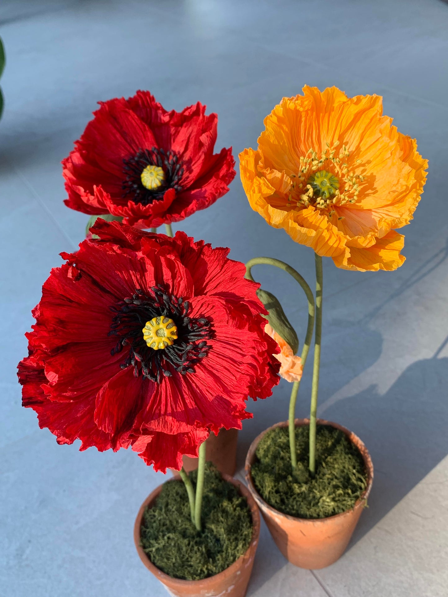 Paper Poppy Pots - Thursday 28th November