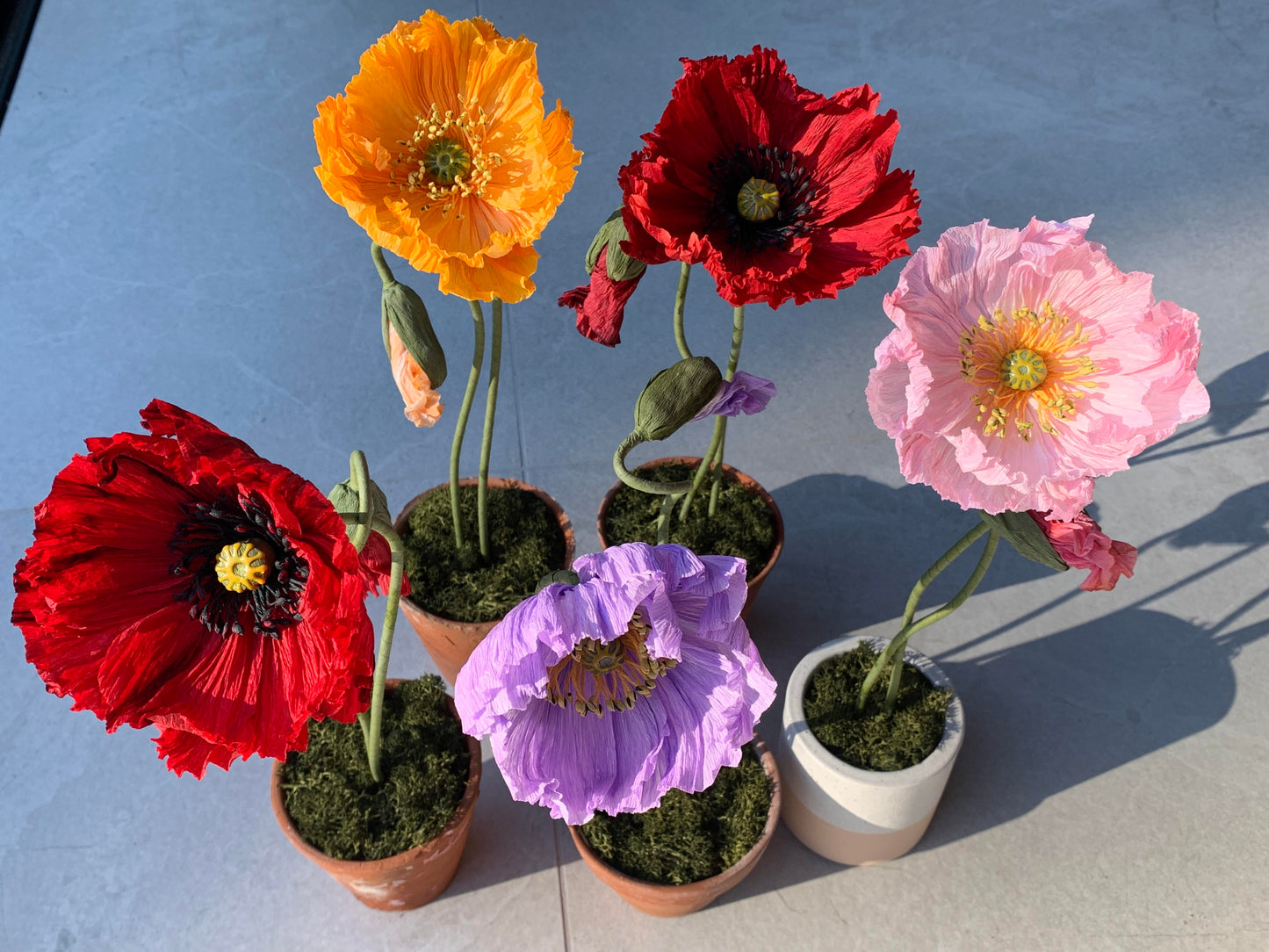 Paper Poppy Pots - Thursday 28th November